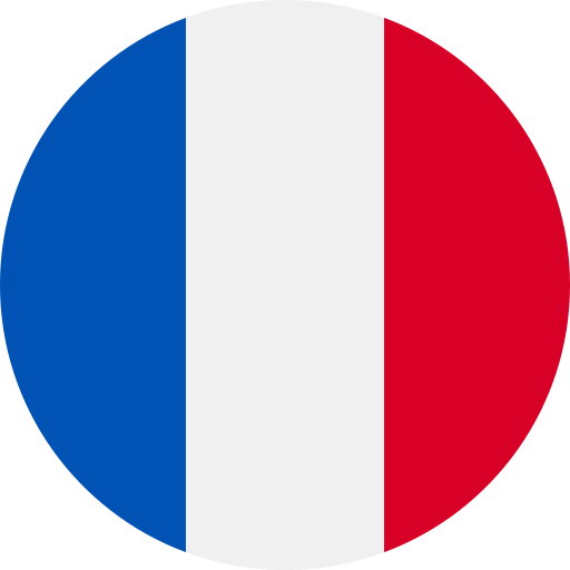 Icono con la bandera de Francia