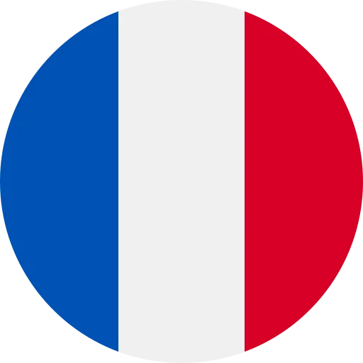 Icono con la bandera de Francia